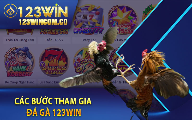 Các bước tham gia đá gà 123Win