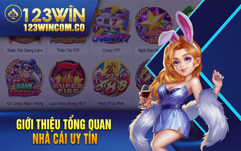 Tổng quan về nhà cái 123Win 