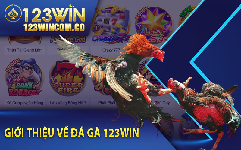 Giới thiệu về Đá Gà 123Win  