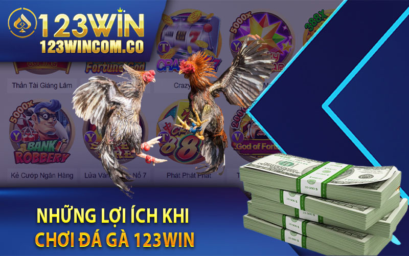 Những lợi ích khi chơi đá gà 123Win  